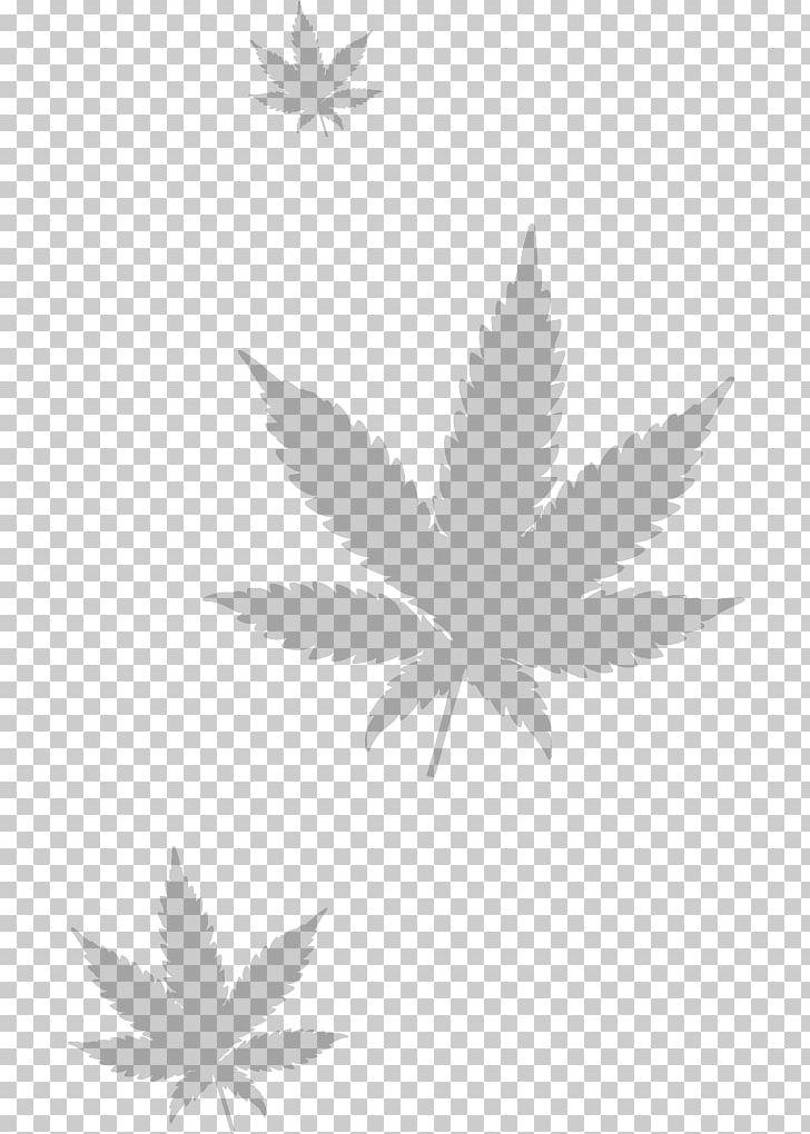 Medical Cannabis Kush Png, Clipart, Black And White, - Transparent Background Feathers Transparent - HD Wallpaper 