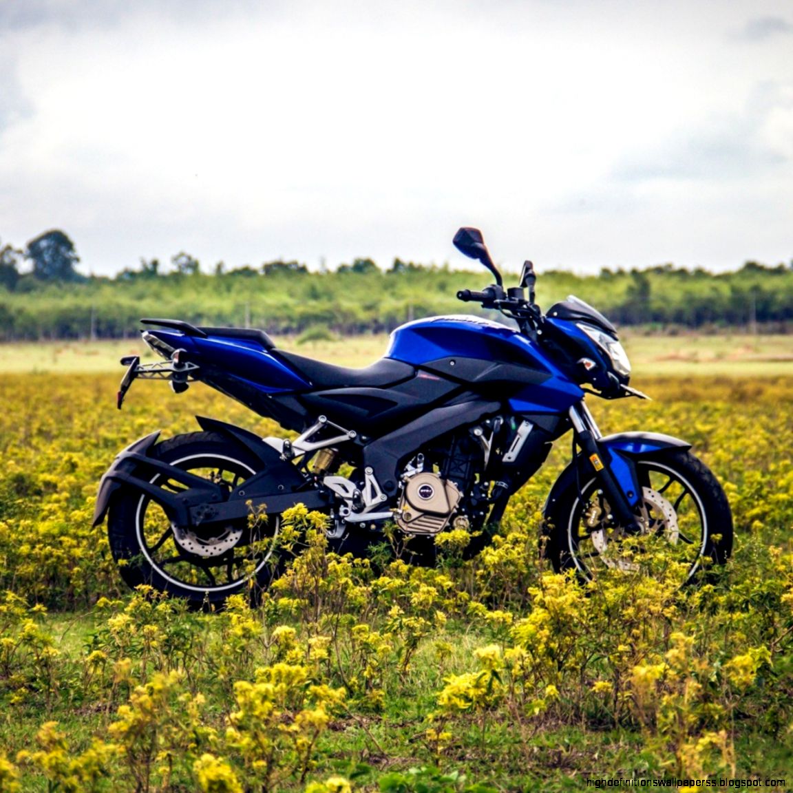 Pulsar Bike Photos Hd