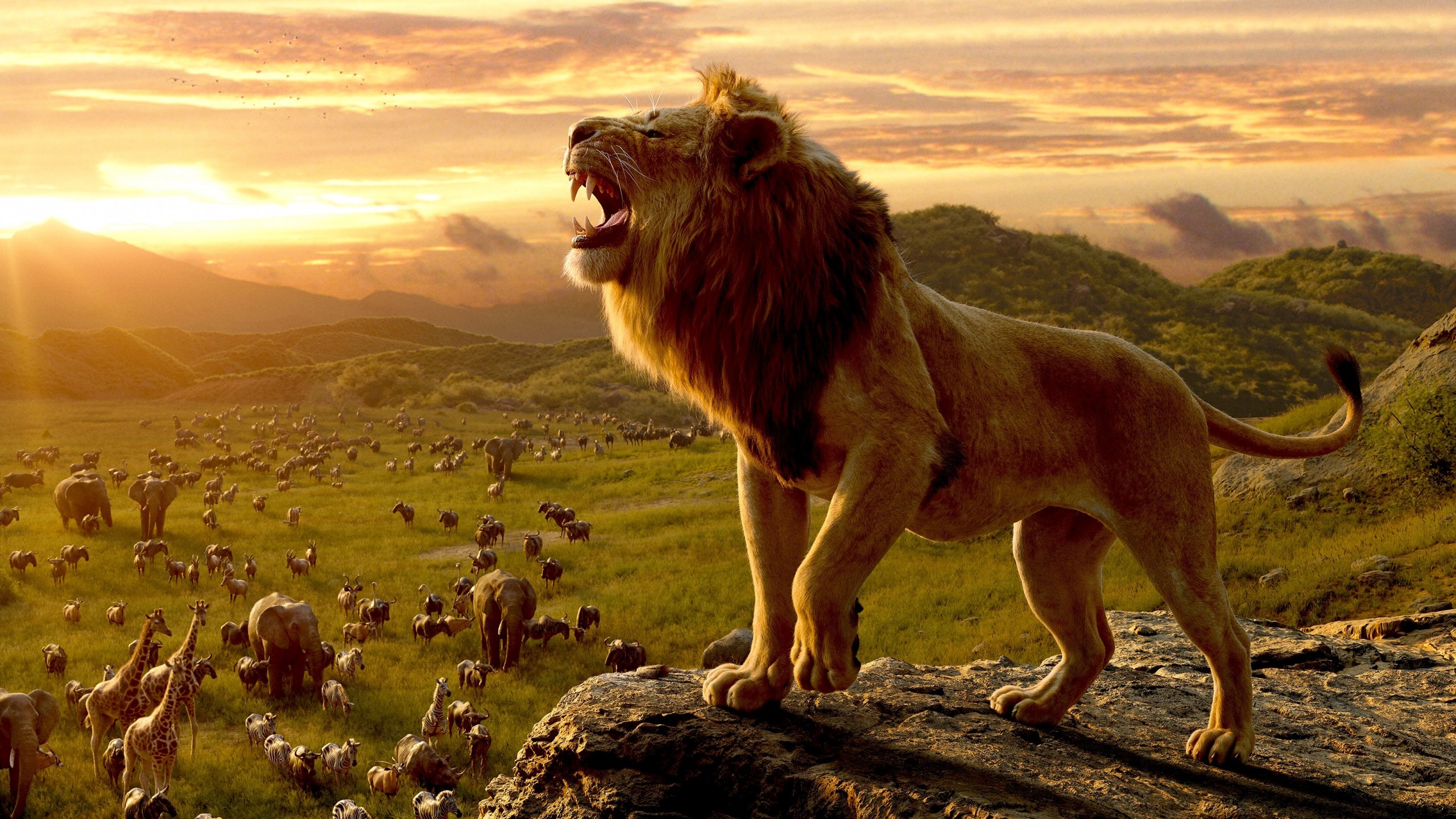 Simba, The Lion King, Roar, Cliff - Lion King 2019 Wallpaper Hd - HD Wallpaper 