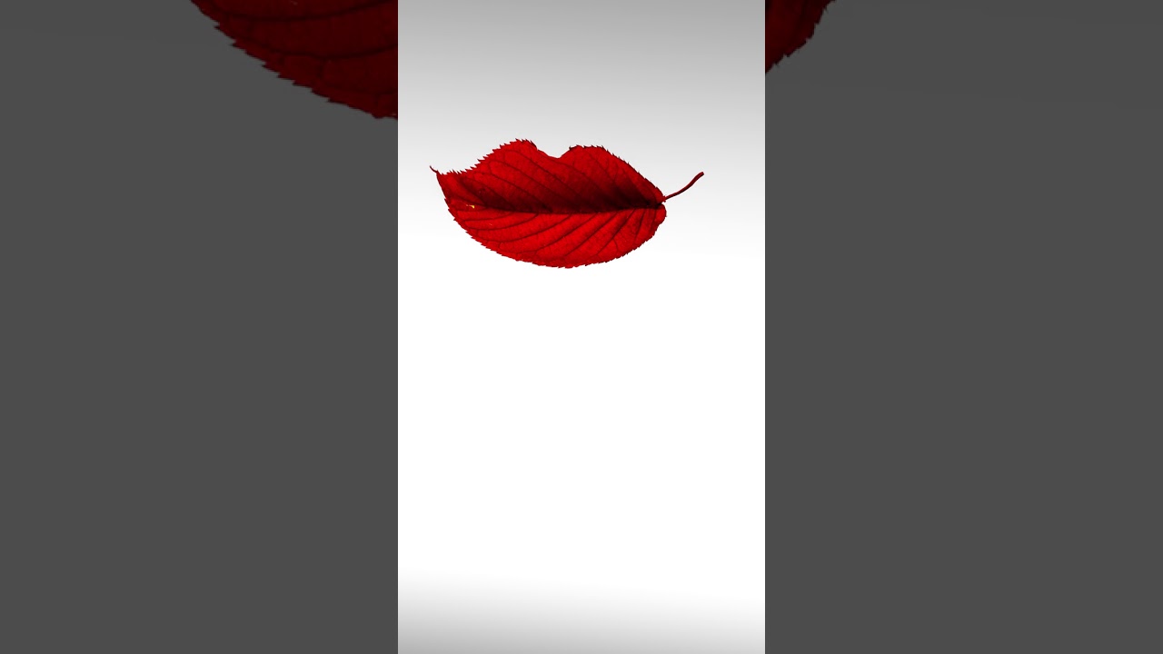 Illustration - HD Wallpaper 