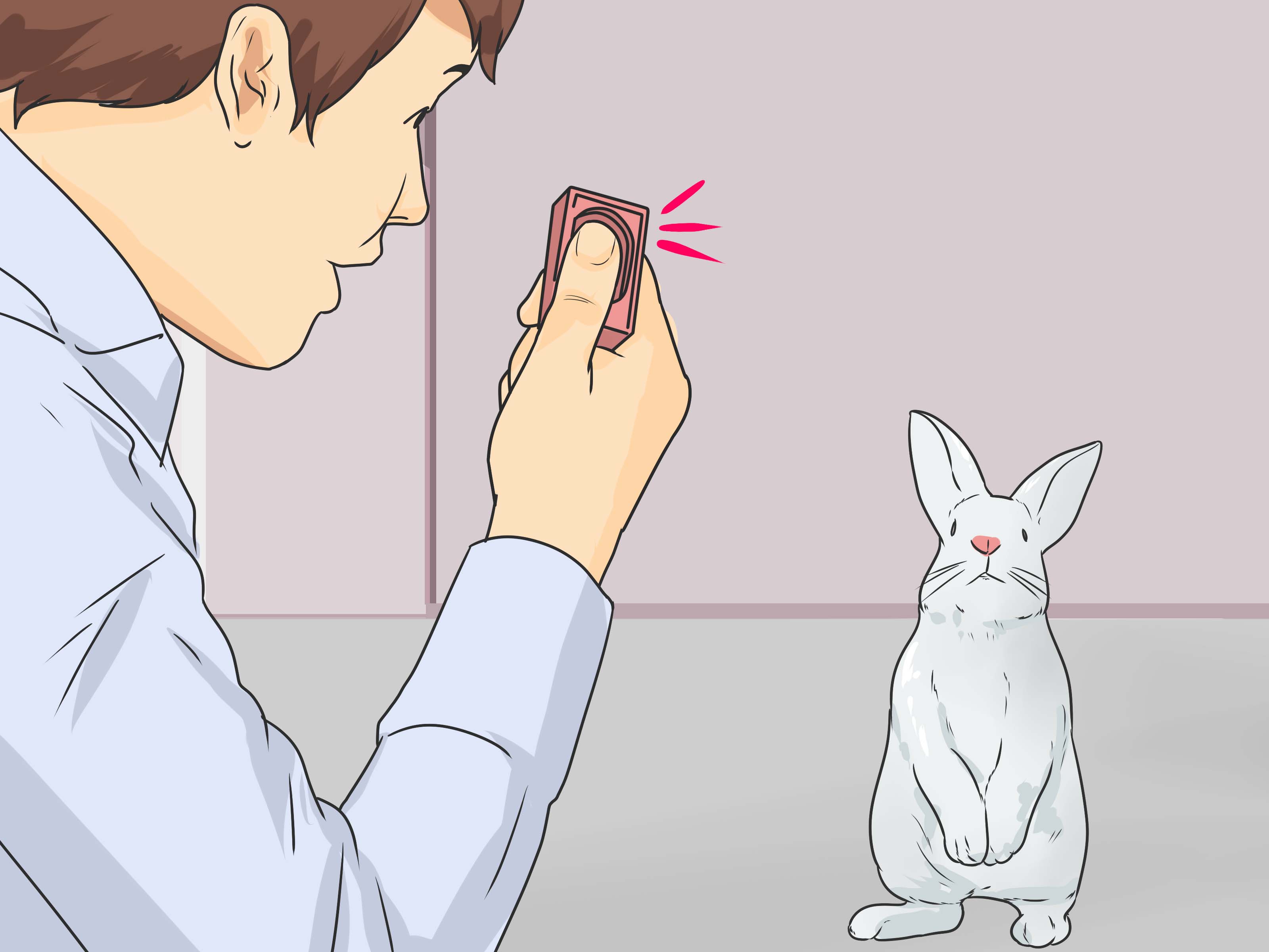 Gambar Berjudul Teach Your Rabbit To Come When Called - Train Rabbit - HD Wallpaper 