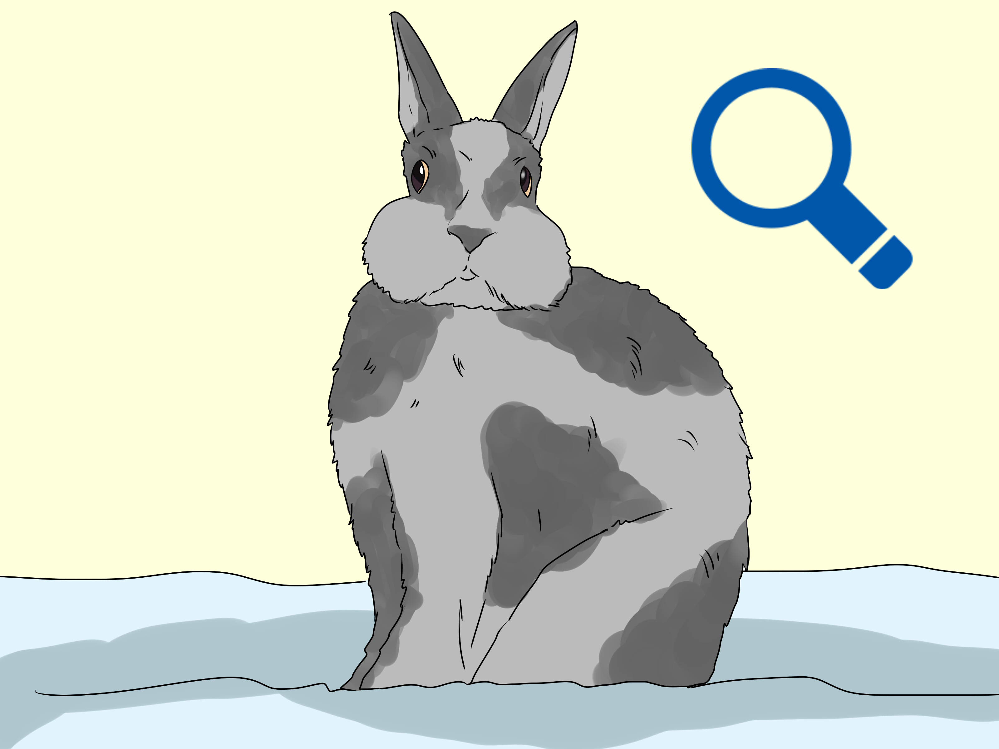 Gambar Berjudul Train A Rabbit Step - Cartoon - HD Wallpaper 