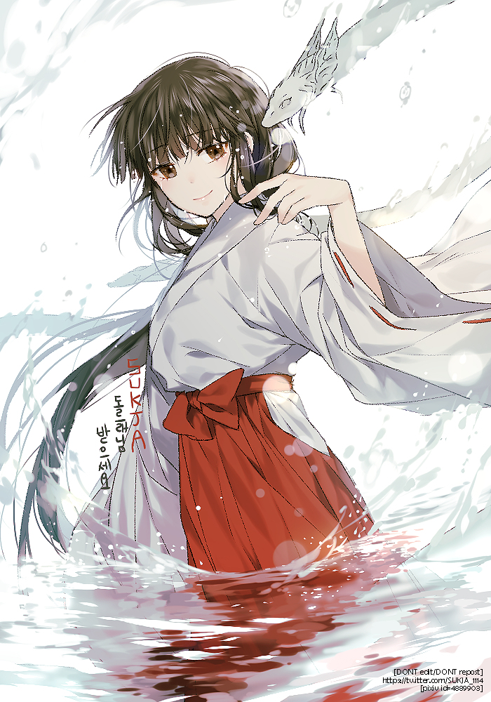 Kikyo Art - HD Wallpaper 