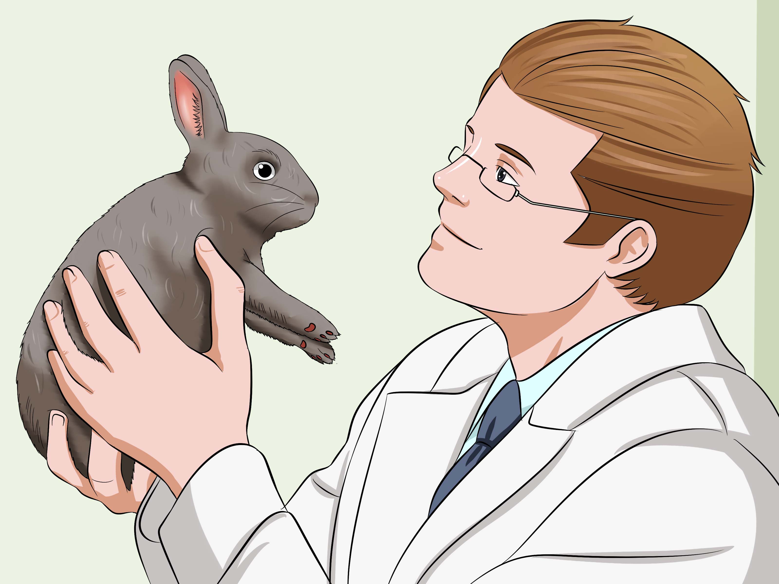 Gambar Berjudul Calm A Rabbit Step - Persona Cuidando Un Conejo - HD Wallpaper 