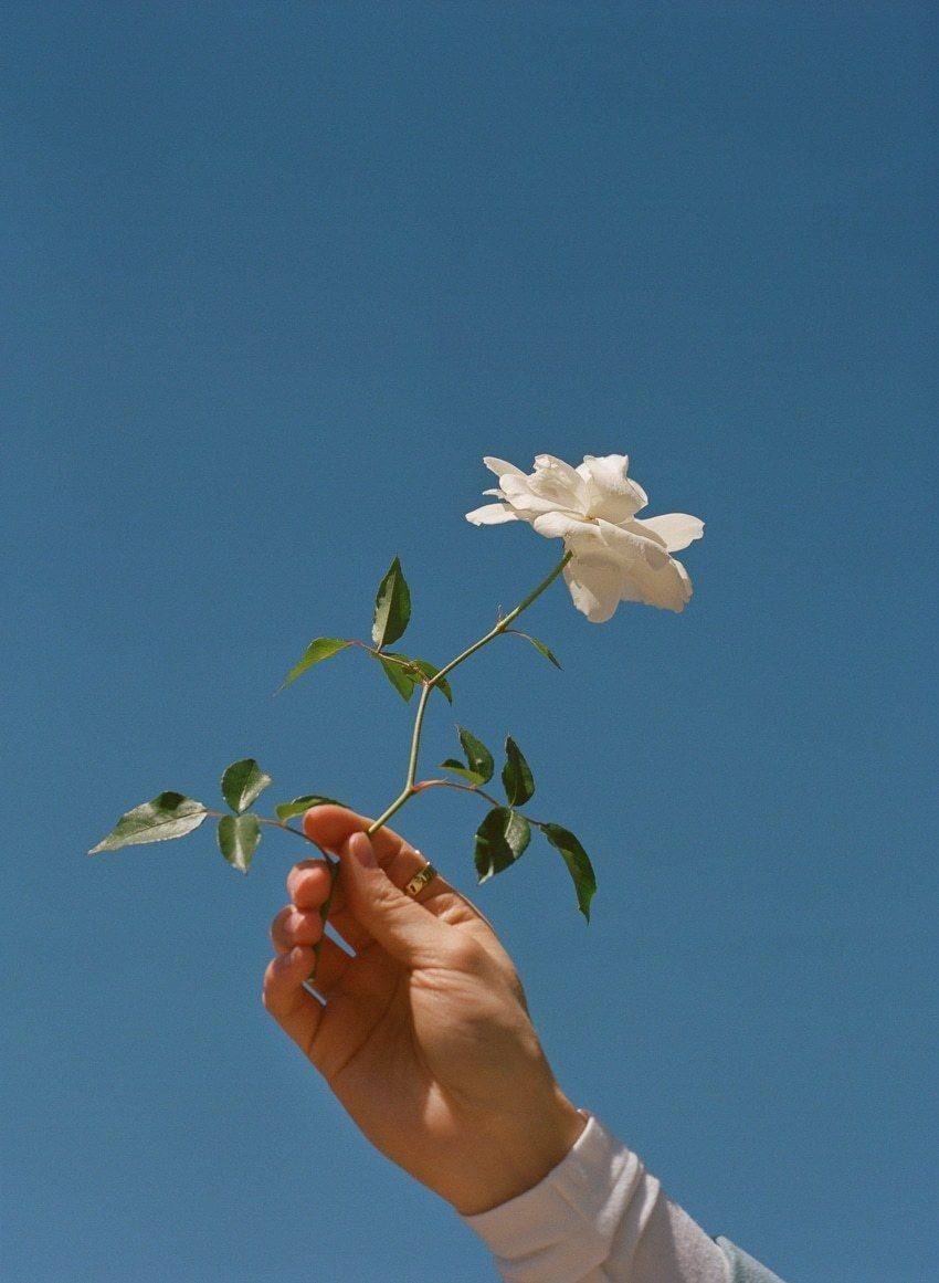 Flower And Sky Aesthetic - 850x1161 Wallpaper Flower And Sky Aesthetic - 850x1161 Wallpaper