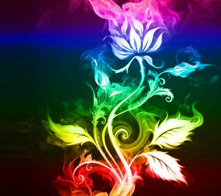 Cherry Blossoms On Fire - HD Wallpaper 