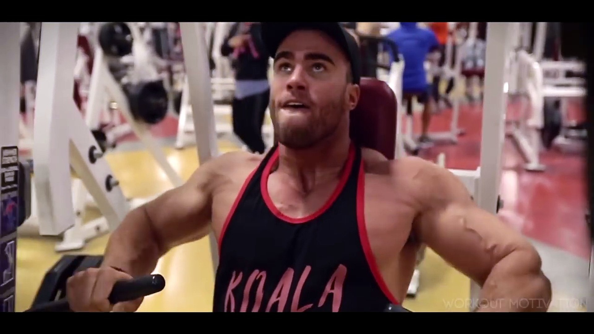 Bodybuilding - HD Wallpaper 