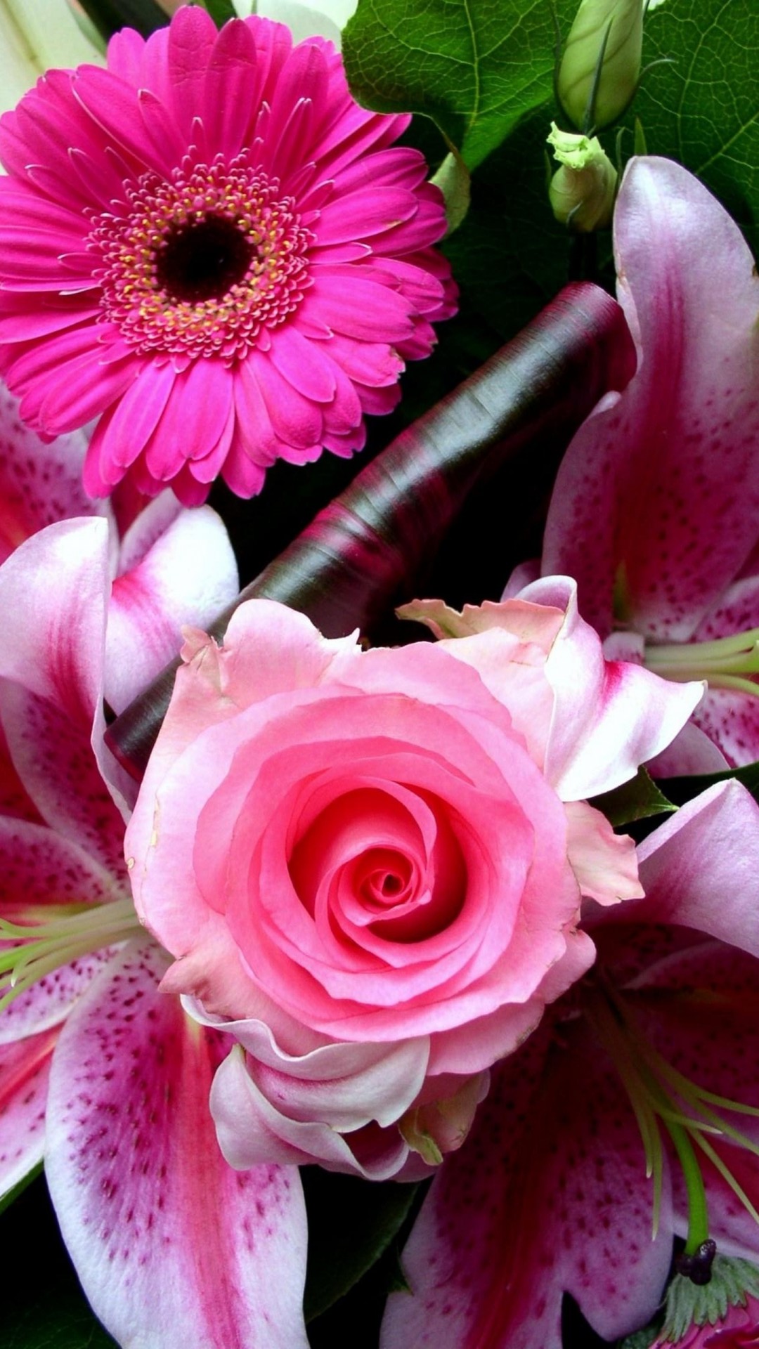 Iphone Wallpaper Pink Rose Flower Resolution - Pink Rose Flower Iphone - HD Wallpaper 