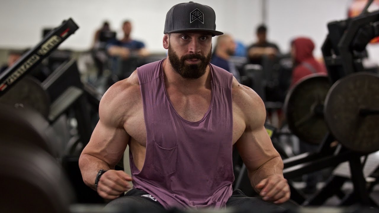 Bradley Martyn Arms - HD Wallpaper 