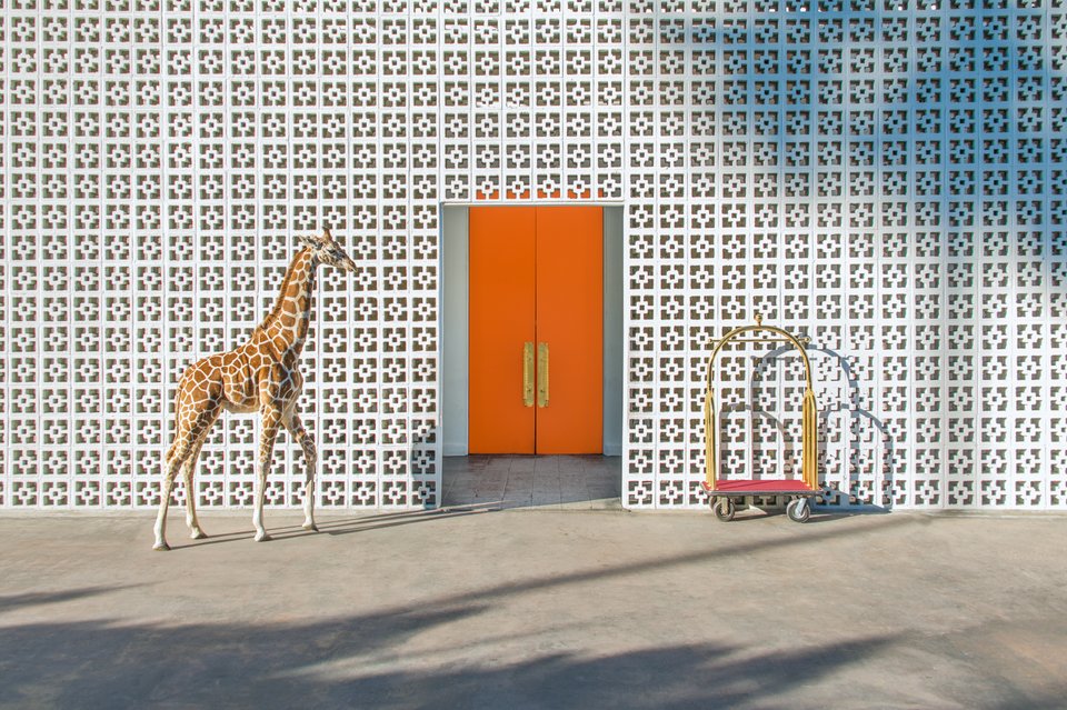 Gray Malin Parker Palm Springs - HD Wallpaper 