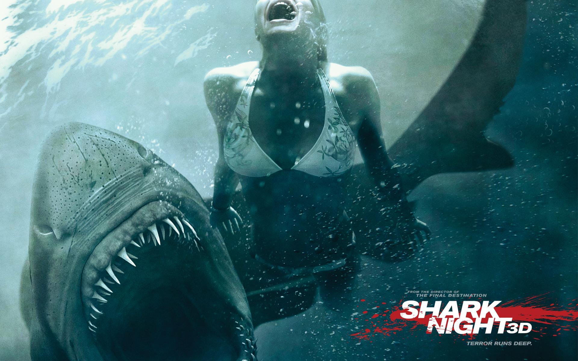 Shark Night 3d - HD Wallpaper 