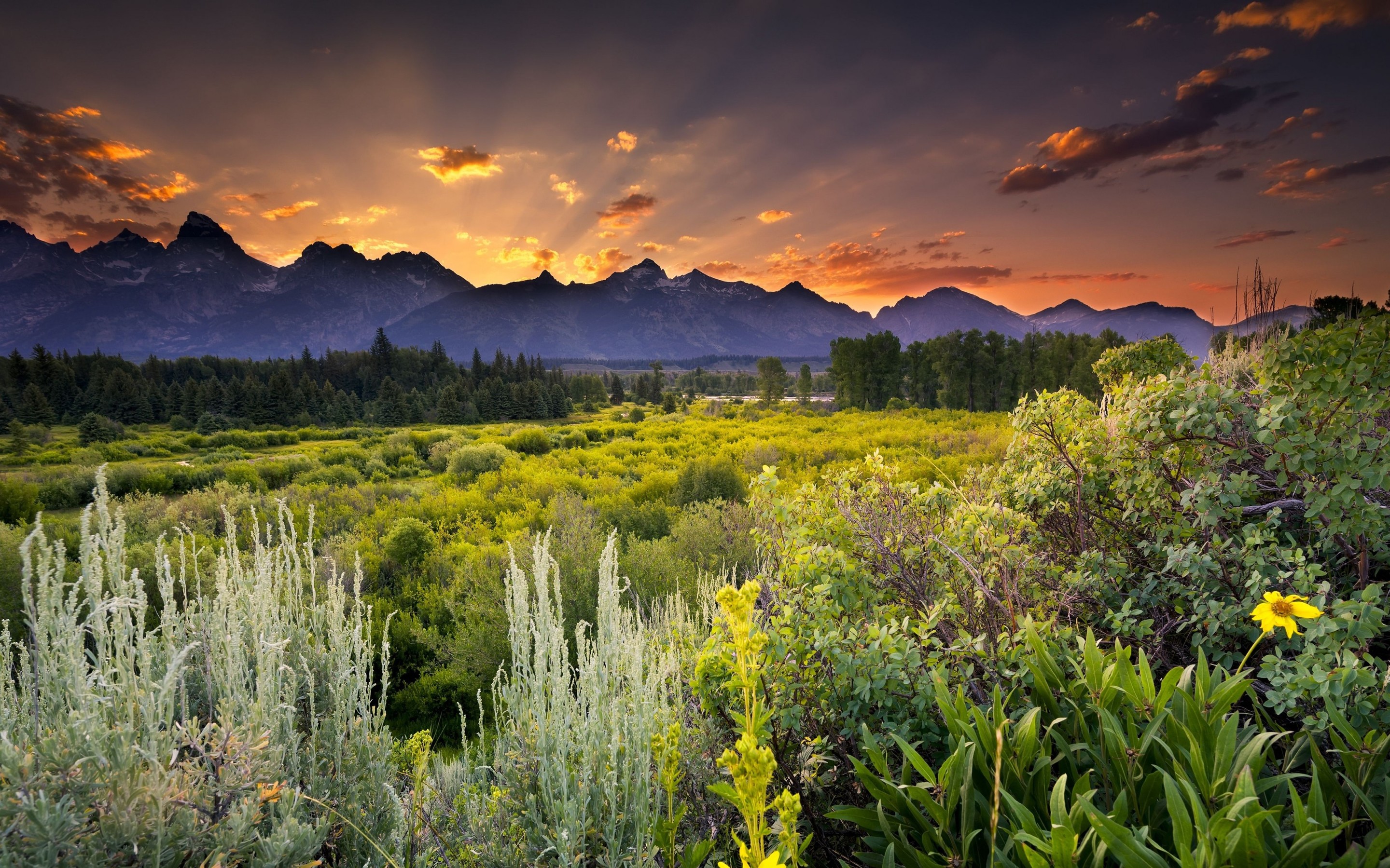 Picsart Hd Background - HD Wallpaper 