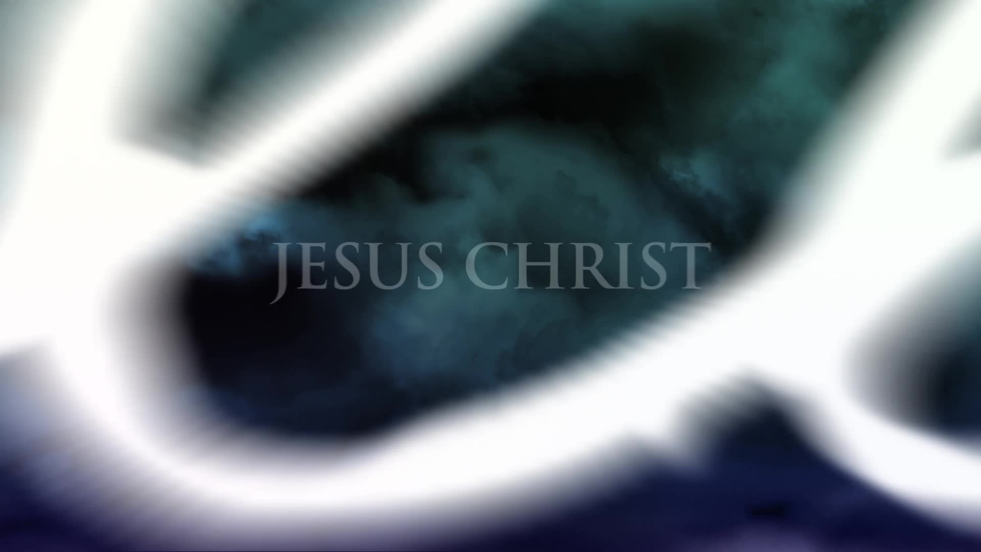 Macro Photography - HD Wallpaper 