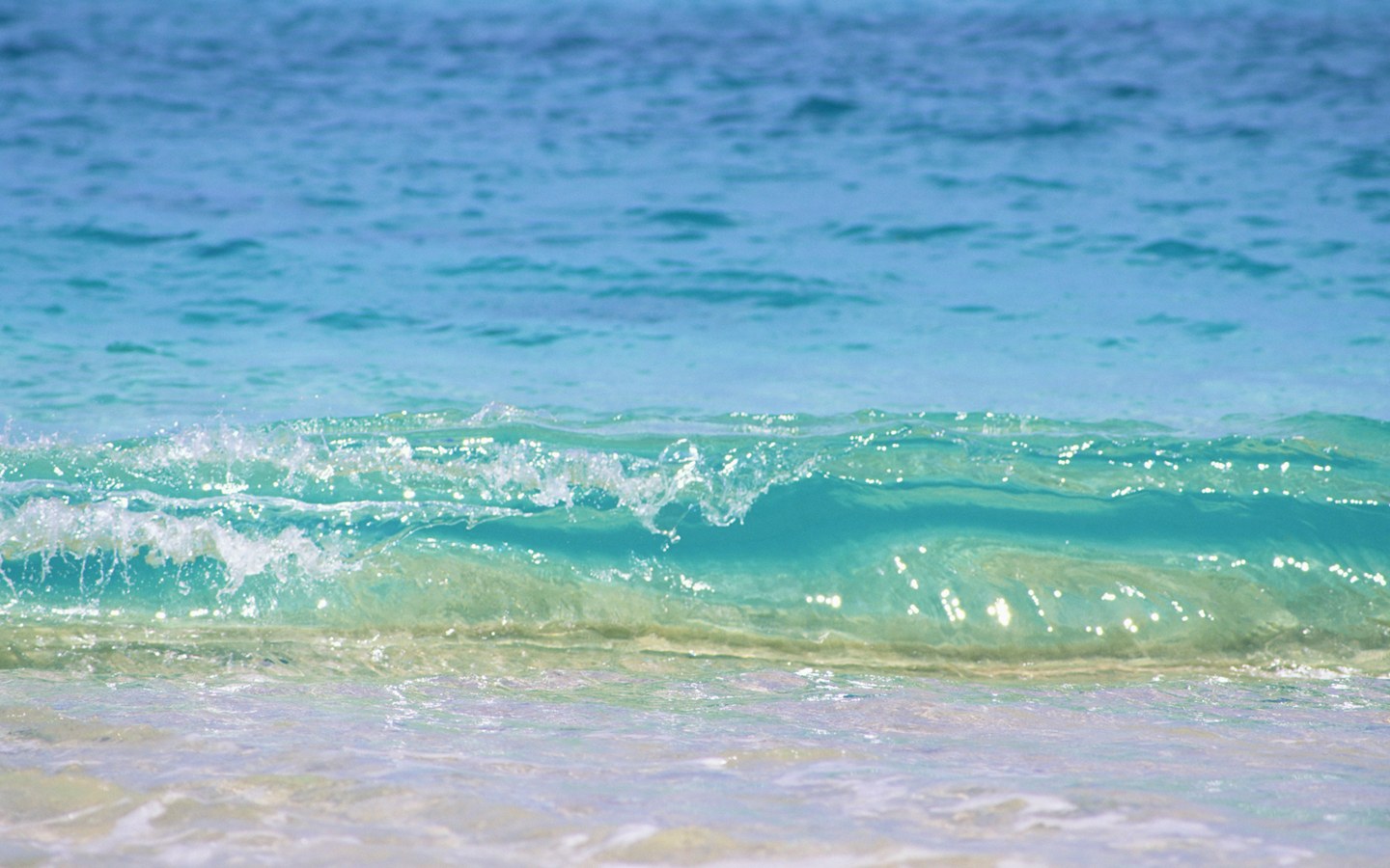 Hawaii S Aquamarine Sea And Blue Sky 1440*900 No - Small Gentle Waves - HD Wallpaper 