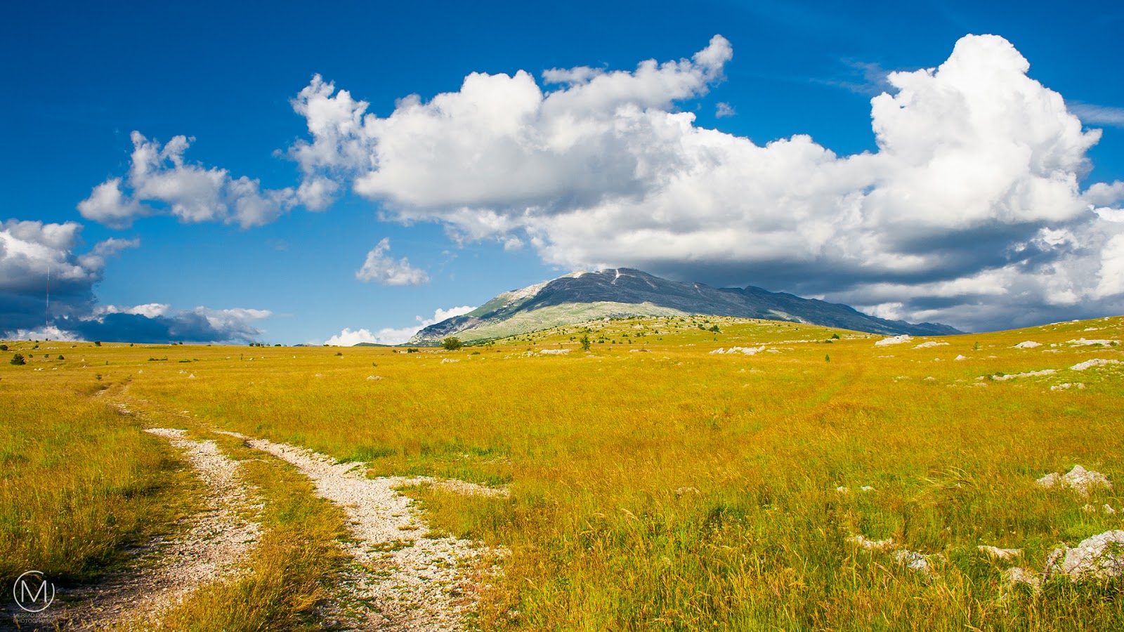 Grassland - HD Wallpaper 