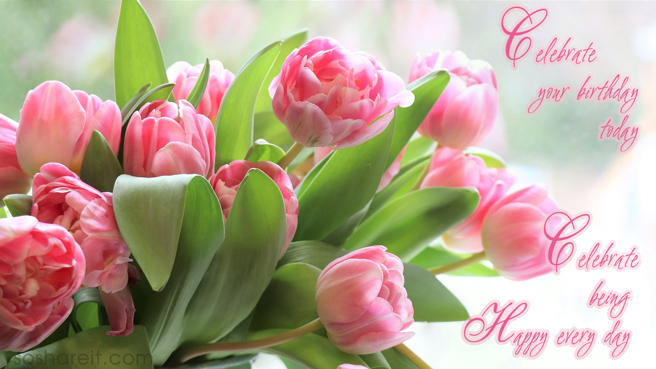 Happy Birthday And Many More To Come - HD Wallpaper 