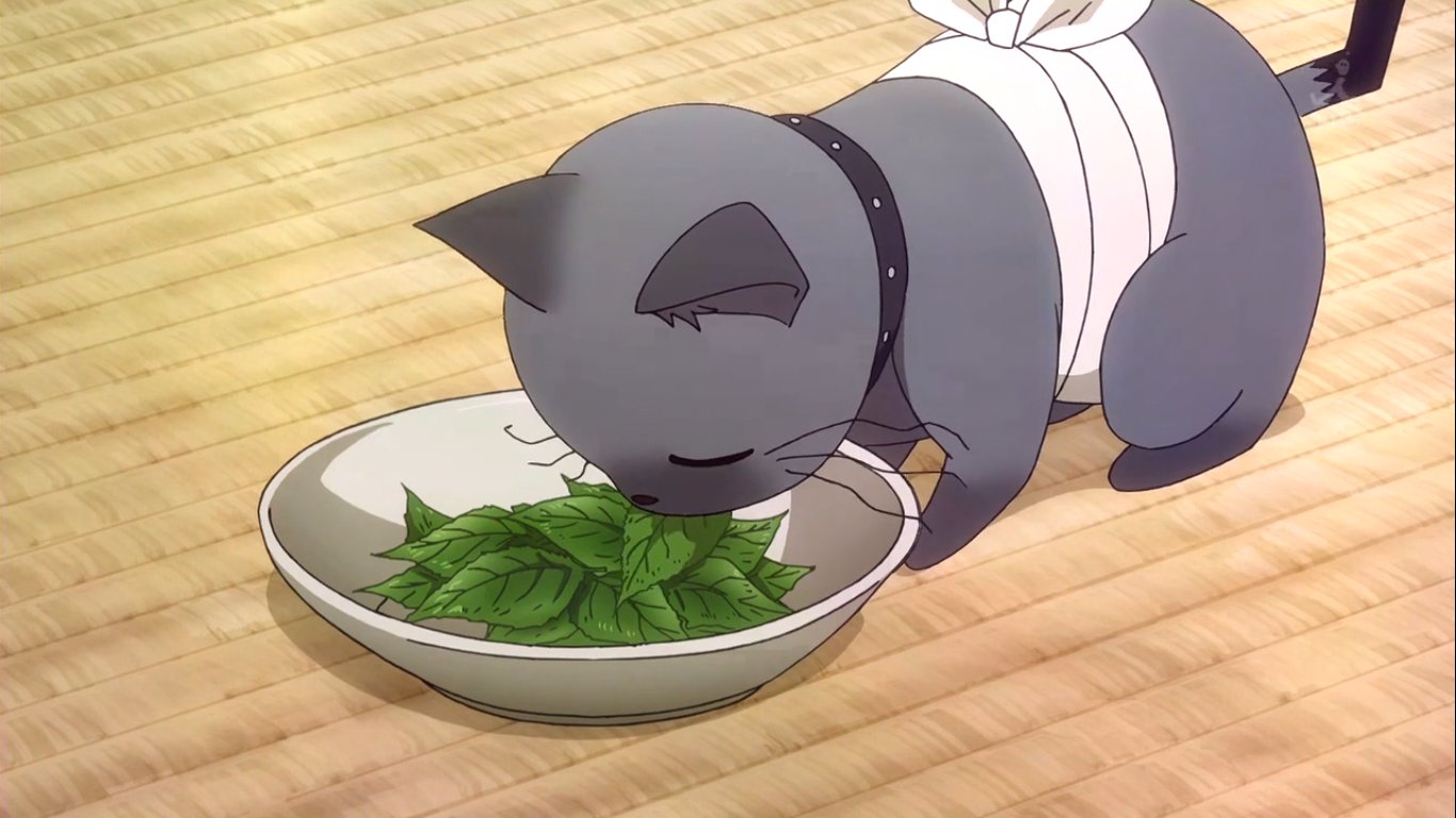 Sankarea Anime Cat - HD Wallpaper 