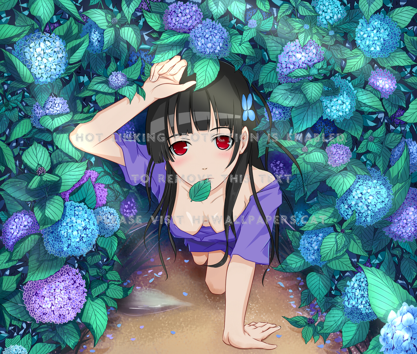Sankarea Girl Flower Red Eyes Anime Wallpaper 1400x11 Wallpaper Teahub Io Sankarea Girl Flower Red Eyes Anime Wallpaper 1400x11 Wallpaper Teahub Io