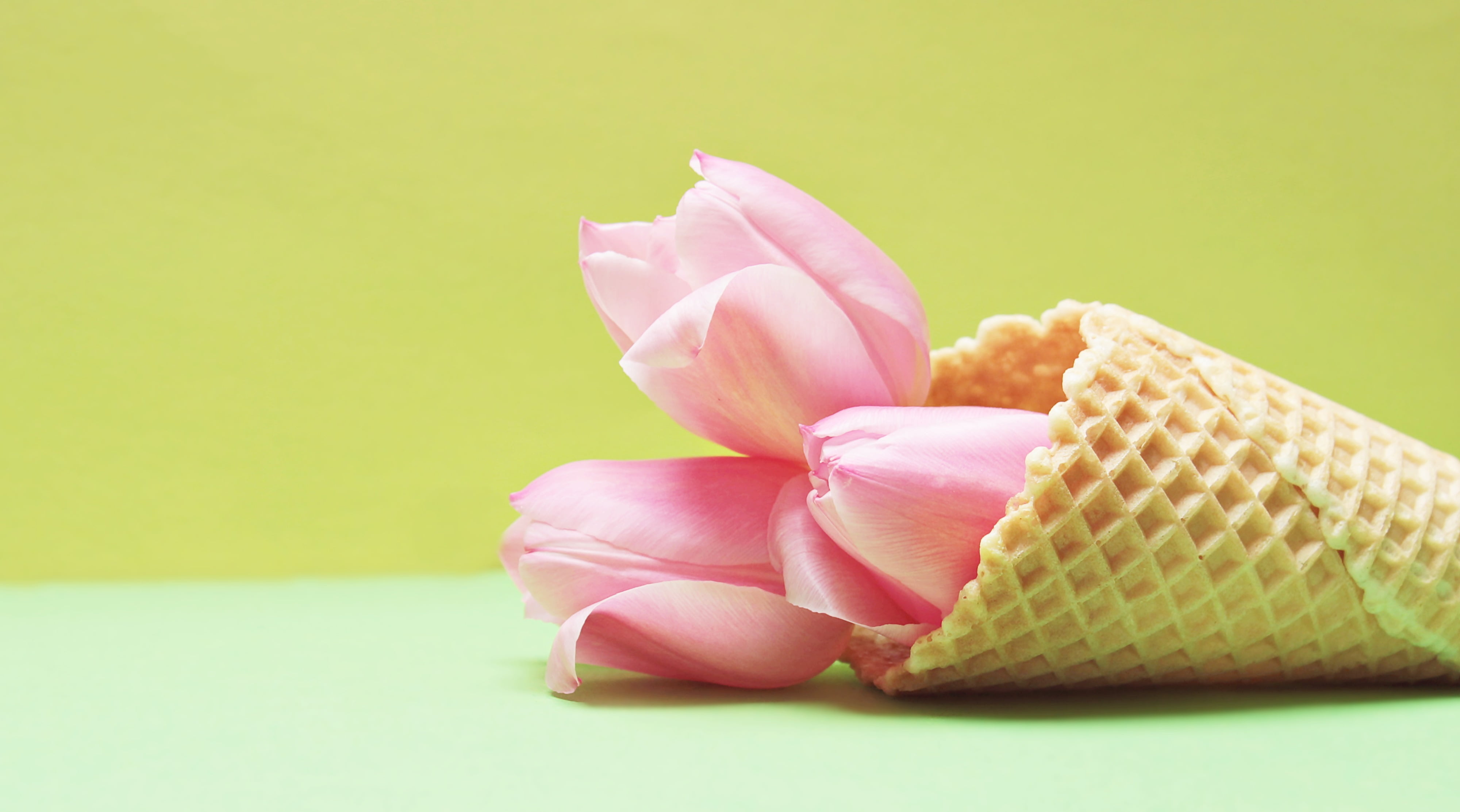 Flower In An Icecream Cone - HD Wallpaper 