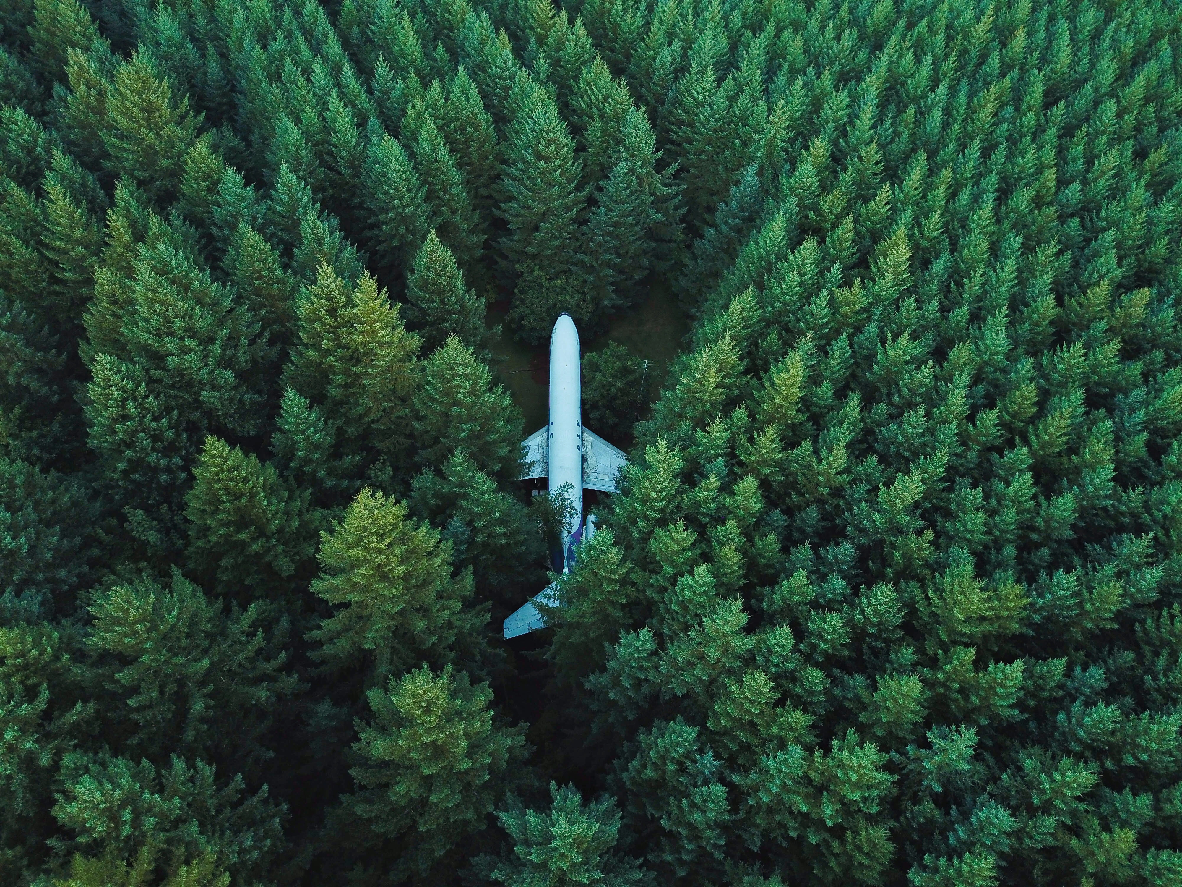 Forest, Airplane, Top View - HD Wallpaper 