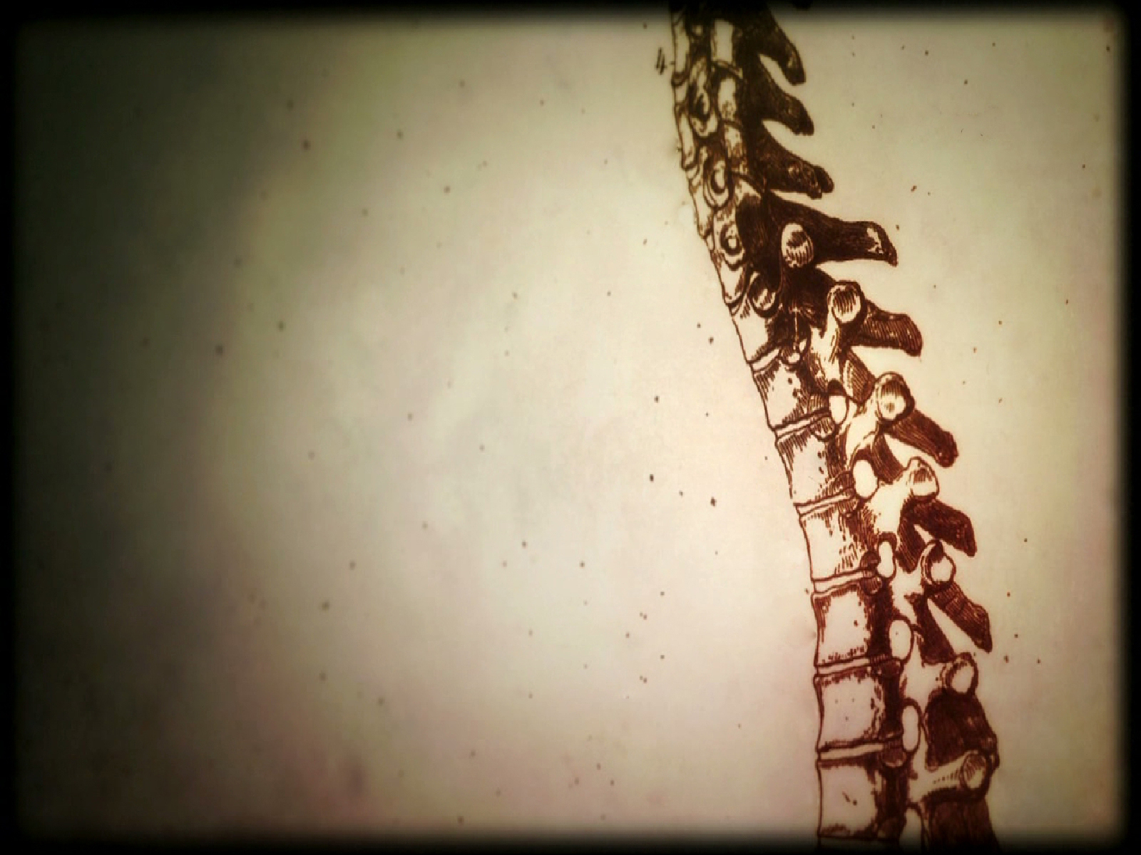 Wallpaper - HD Wallpaper 