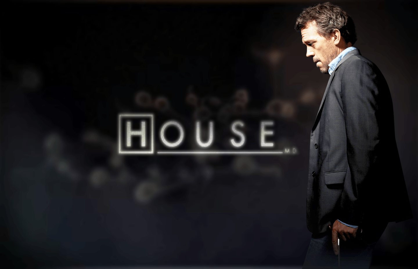 Some Of The Best House Md Songs - HD Wallpaper 