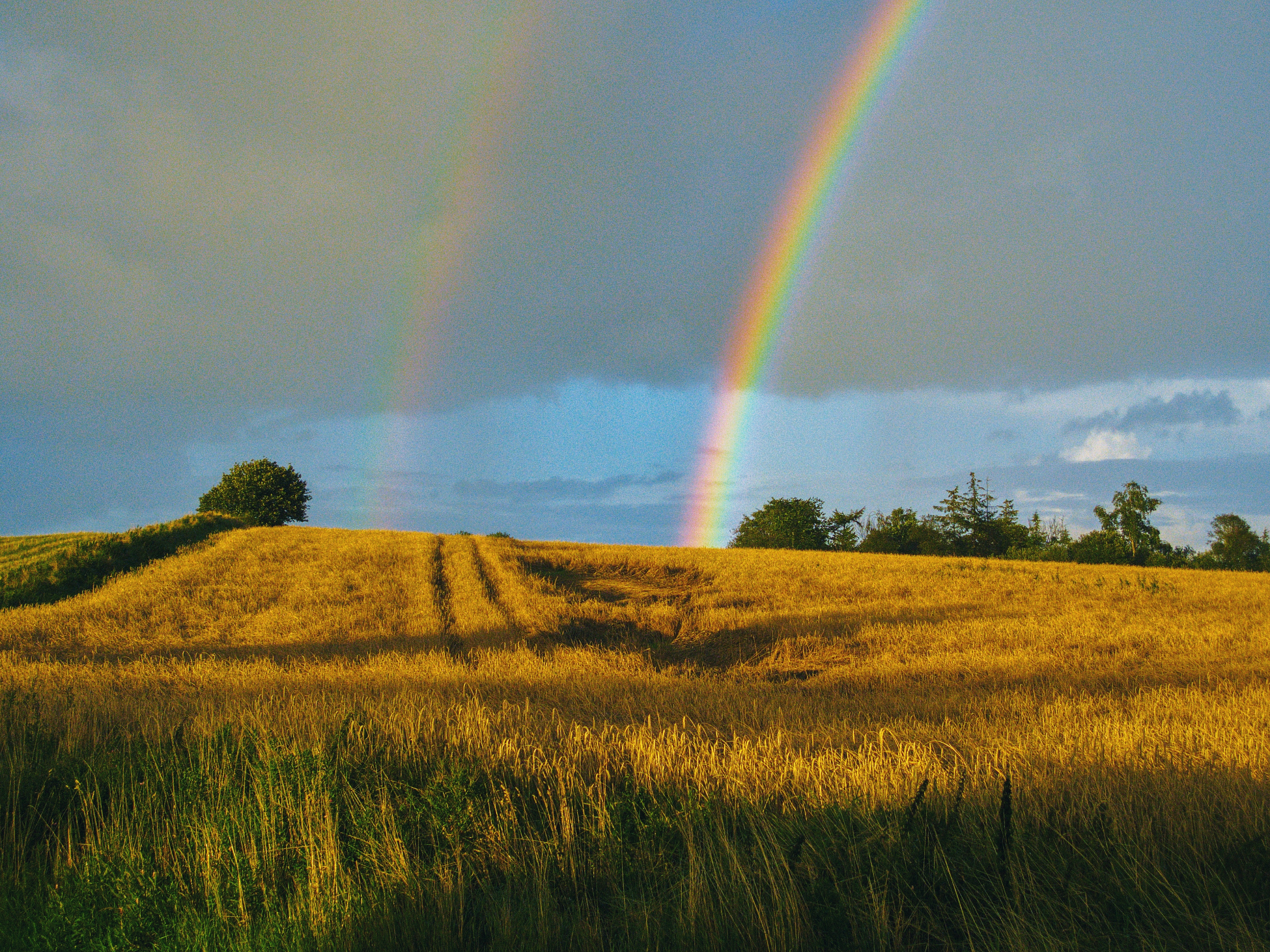 Wallpaper Field, Rainbow, Landscape, Sky, After Rain - Rainbow Landscape Wallpaper Iphone - HD Wallpaper 