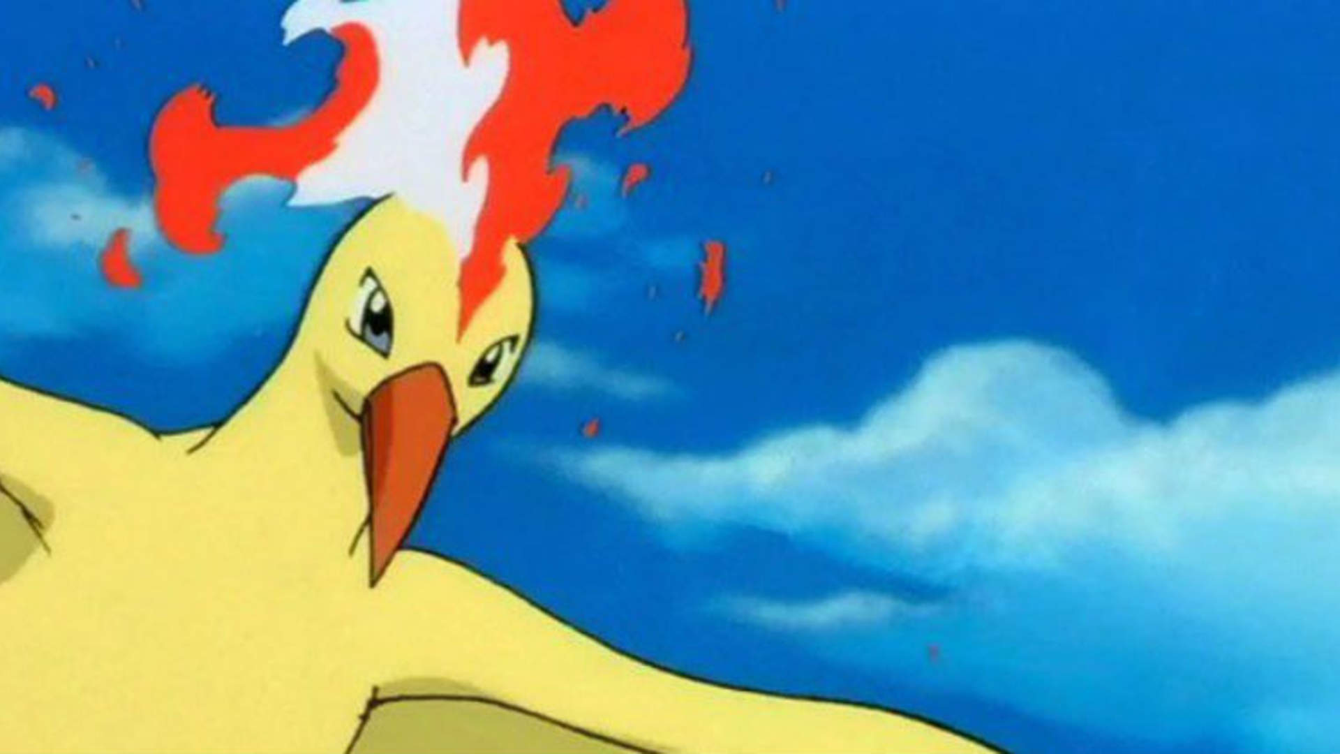 Moltres Anime - HD Wallpaper 