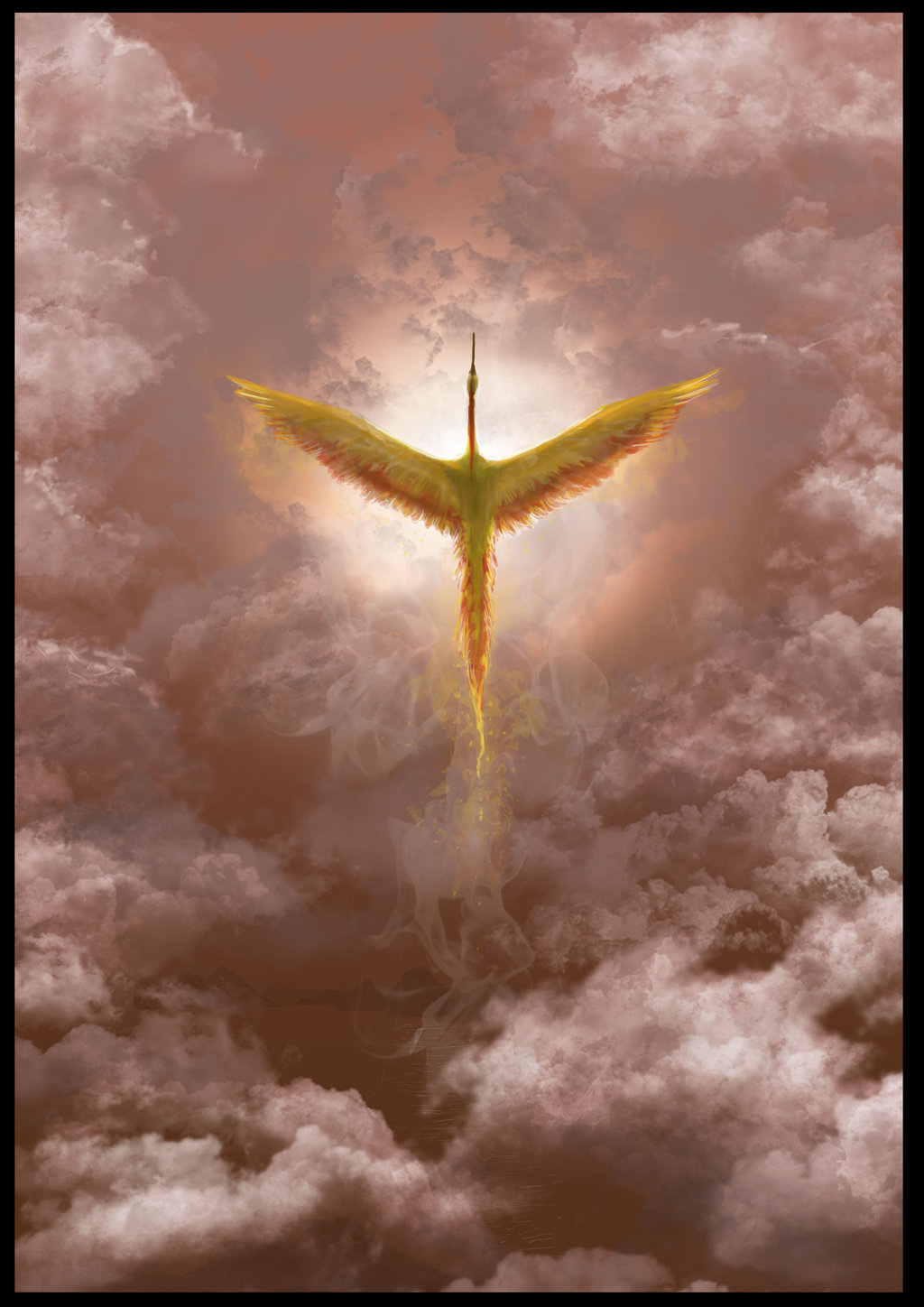 Moltres - HD Wallpaper 