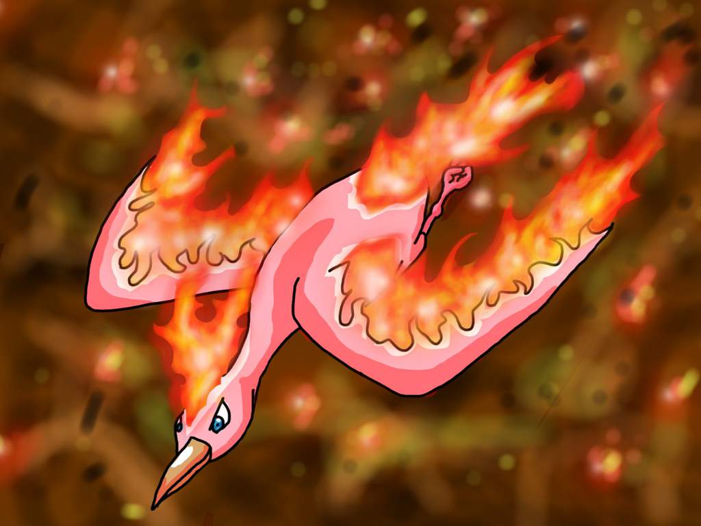 User Uploaded Image - Marine Biology - HD Wallpaper 