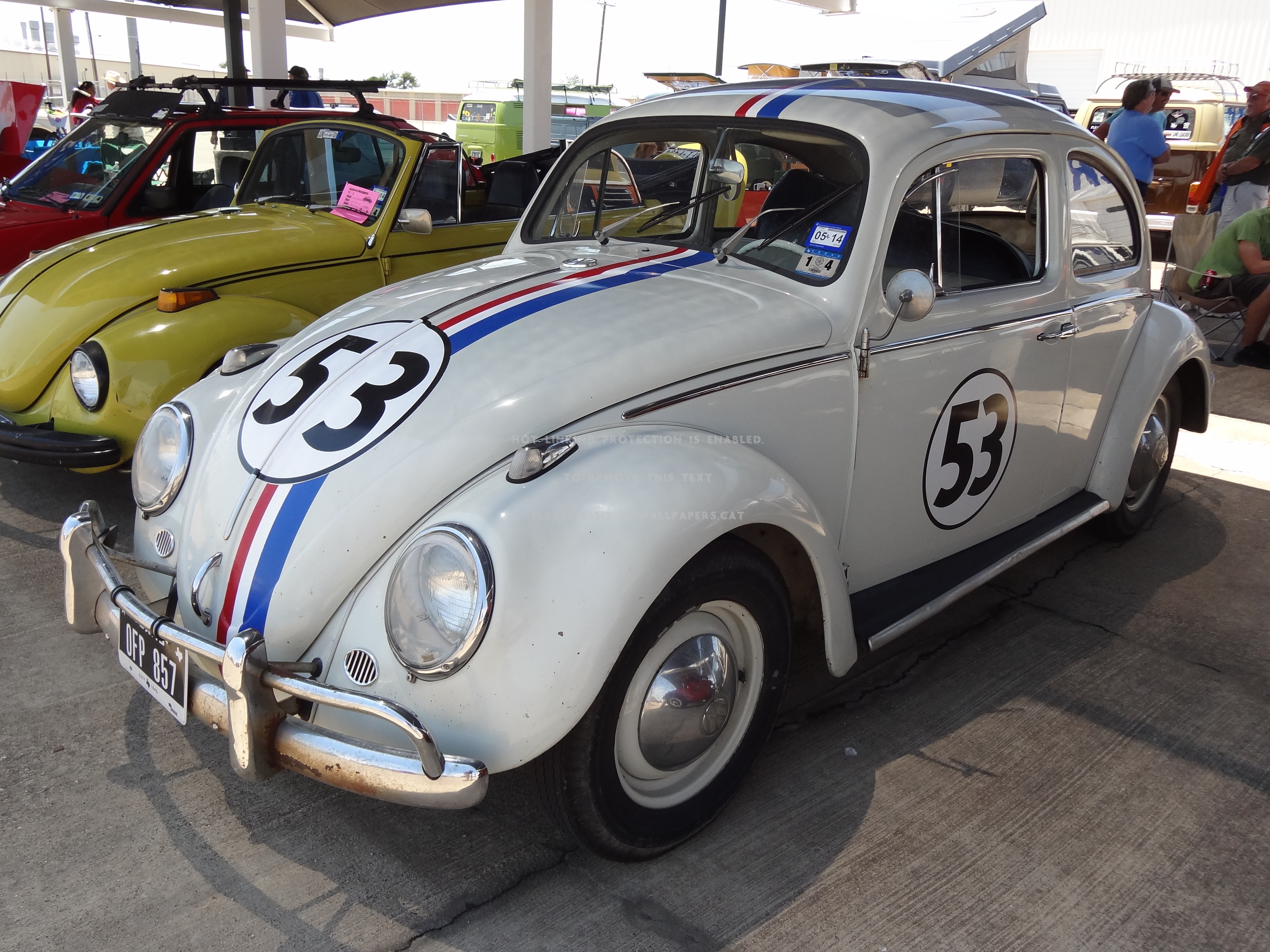 The Love Bug Volkswagen Vw Cars - Antique Car - HD Wallpaper 