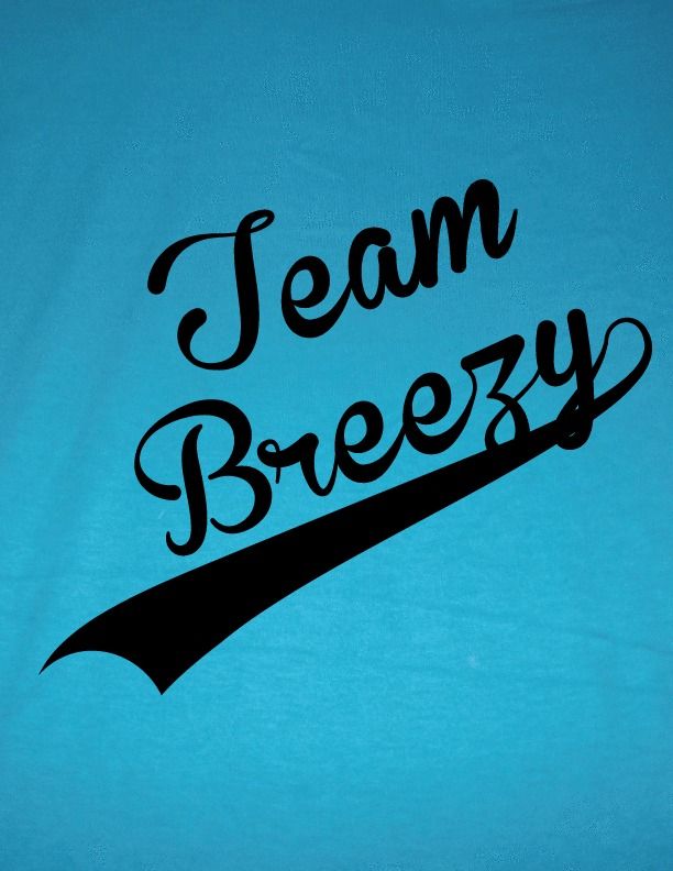 Team Drake Chris Brown Breezy Funny T Shirt S M L Xl - Team Breezy - HD Wallpaper 