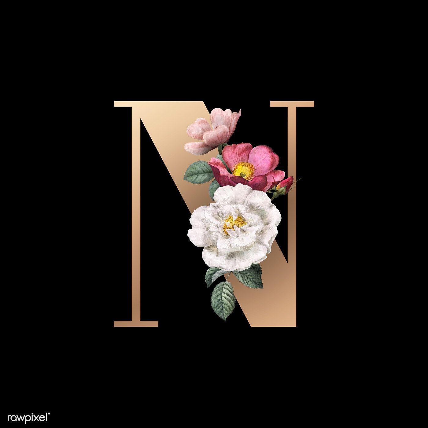 Letter N Wallpaper Flower - HD Wallpaper 