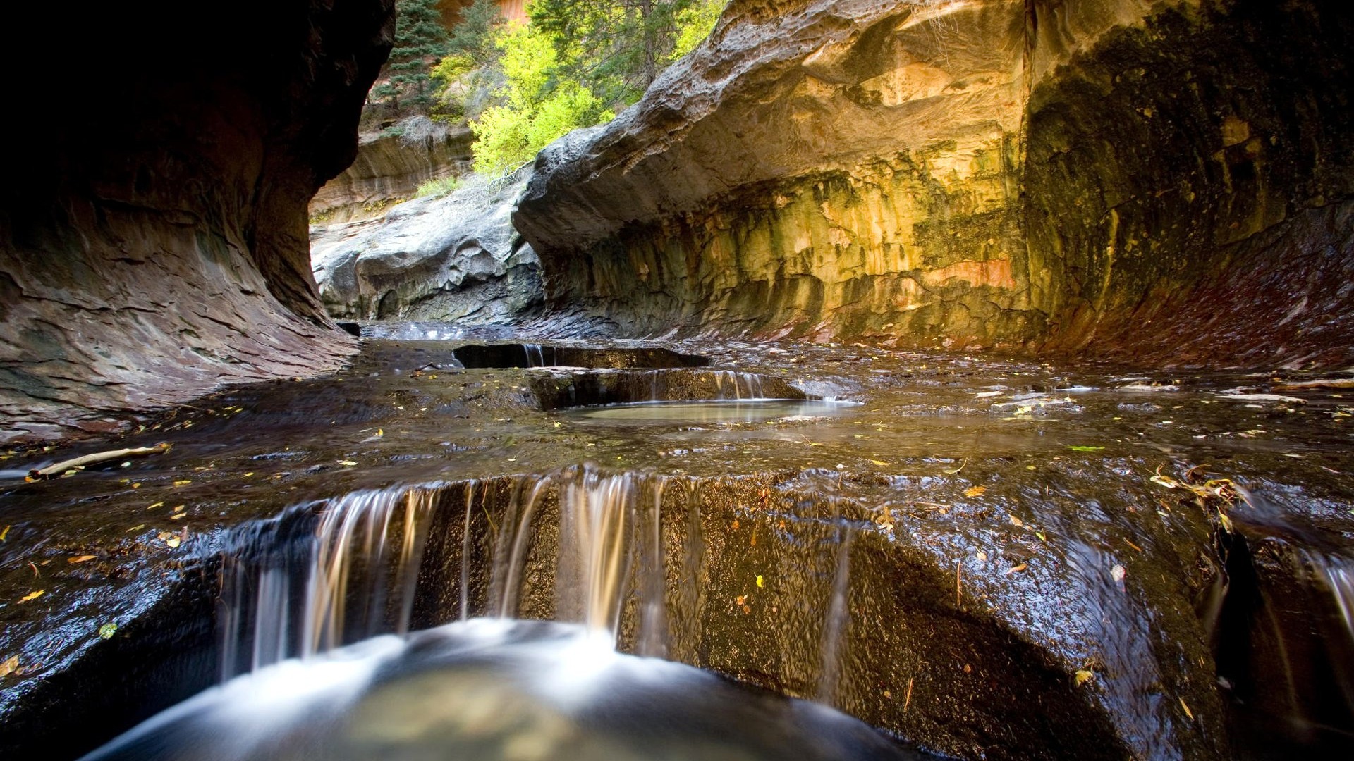 Summers Zion National Park - HD Wallpaper 