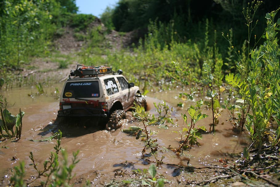 Pajero, Scale Crawler, Mitsubishi, Mode Of Transportation, - Off-roading - HD Wallpaper 