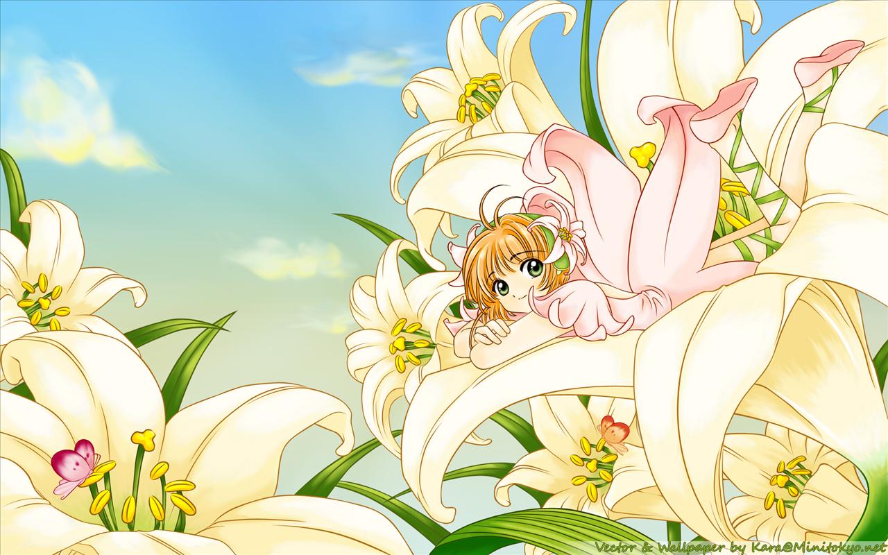 Flowers Anime Wallpaper - Card Captor Sakura - HD Wallpaper 