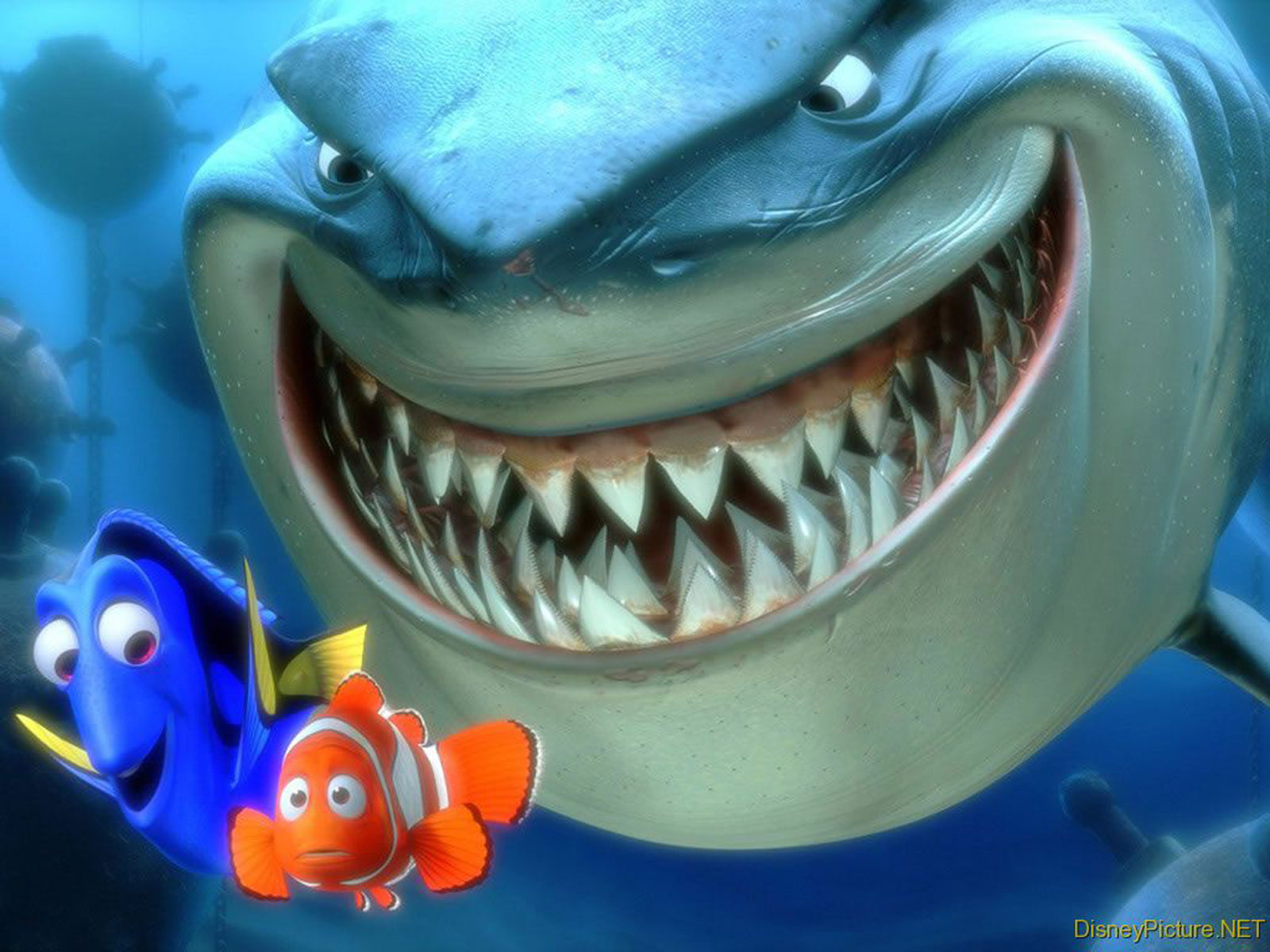 Finding Nemo - HD Wallpaper 
