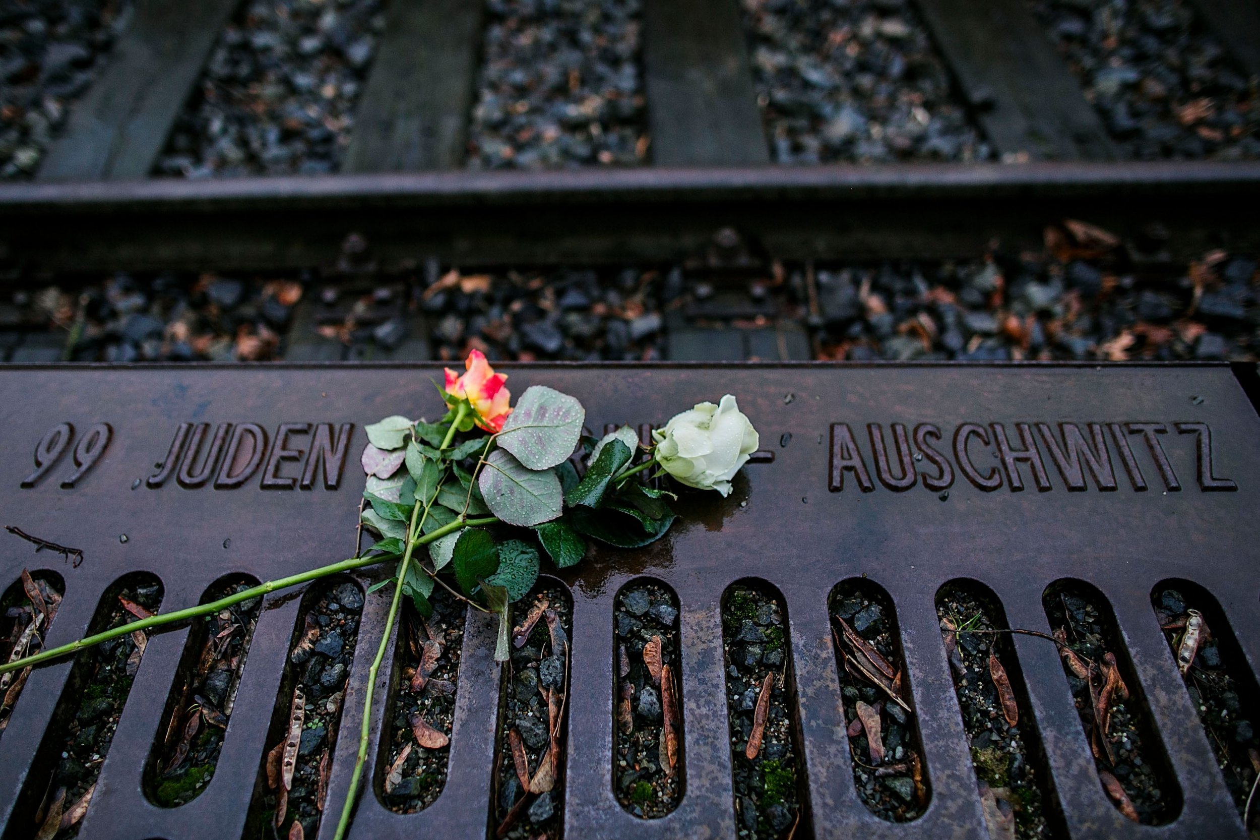 Gettyimages-462351724 - Holocaust Remembrance Day - HD Wallpaper 