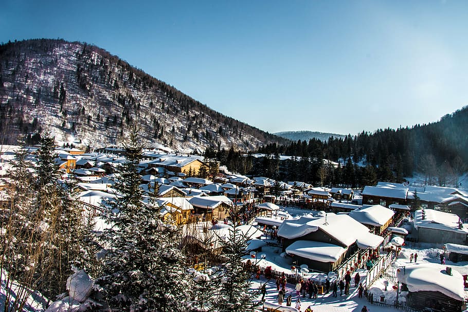 Sesson Great King, Snow, Height, Winter, Cold Temperature, - HD Wallpaper 