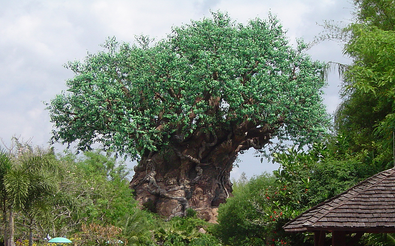 Tree Of Life - Disney World, The Tree Of Life - HD Wallpaper 