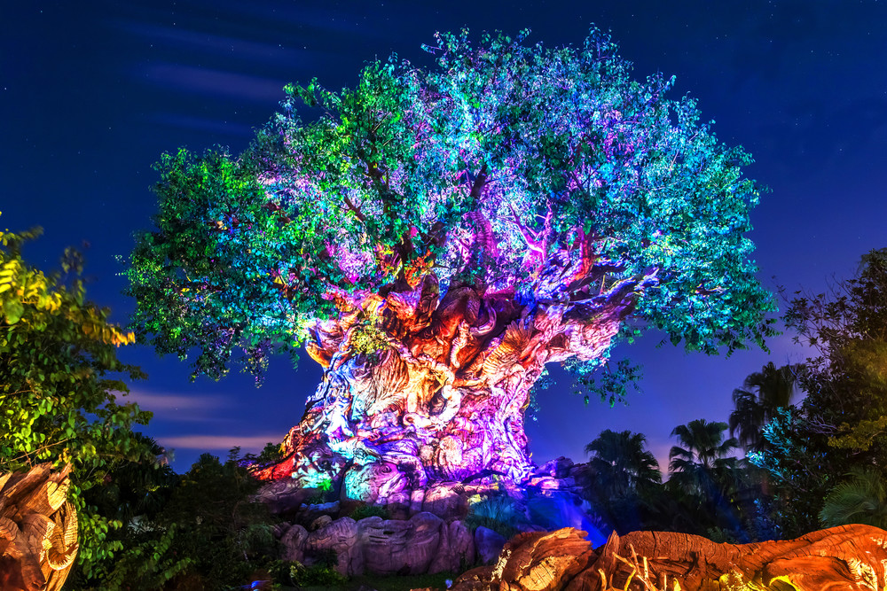 Disney Night Tree Of Life - HD Wallpaper 