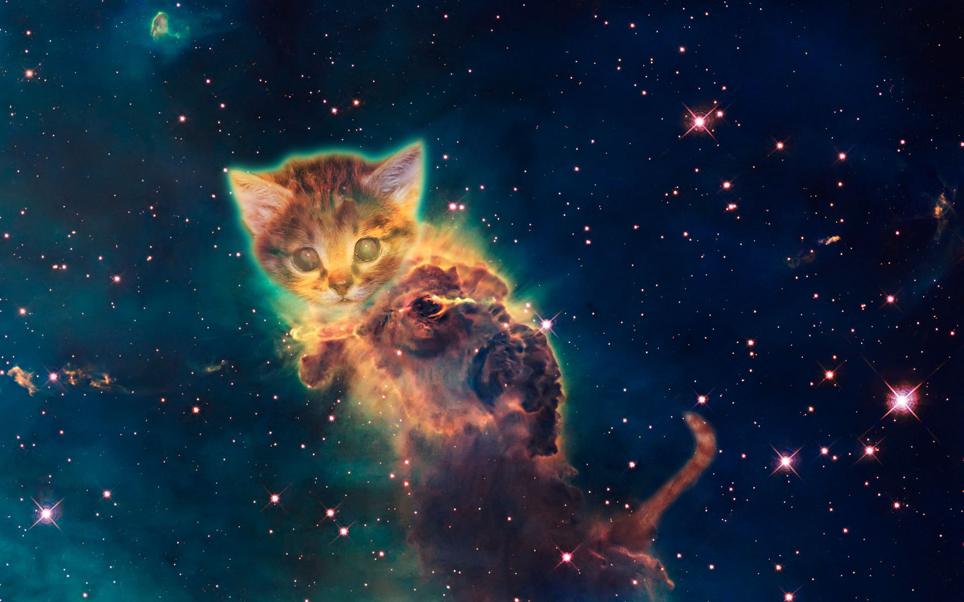 Hdimagelib Com Galaxy Cat Background Tumblr Galaxy - HD Wallpaper 