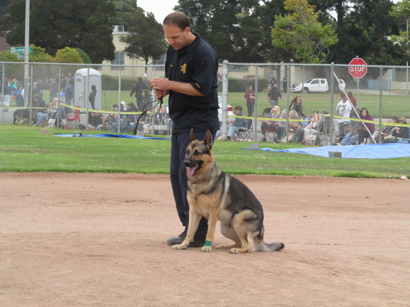 K9 Competition - Darren Young Vacaville Police - HD Wallpaper 