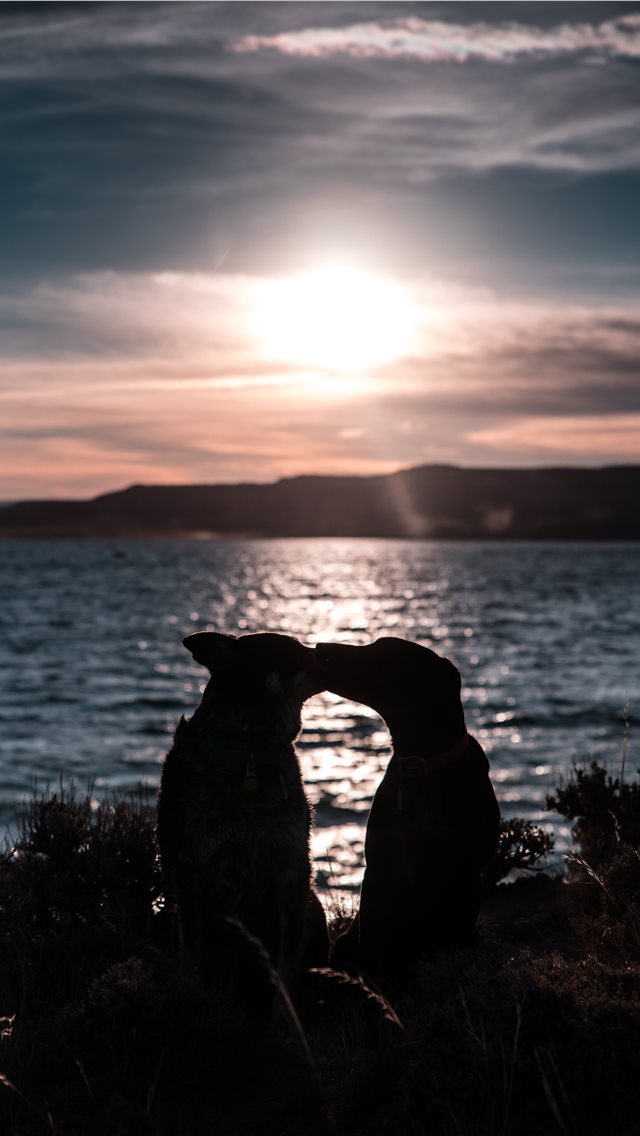 Se Sogni Da Solo È Solo Un Sogno - HD Wallpaper 