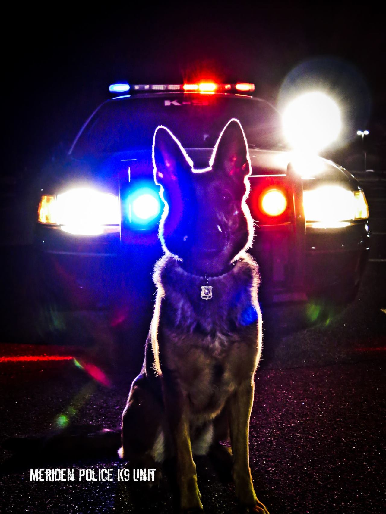 Law Enforcement Police K9 - HD Wallpaper 
