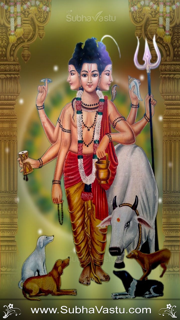 Illustration - HD Wallpaper 