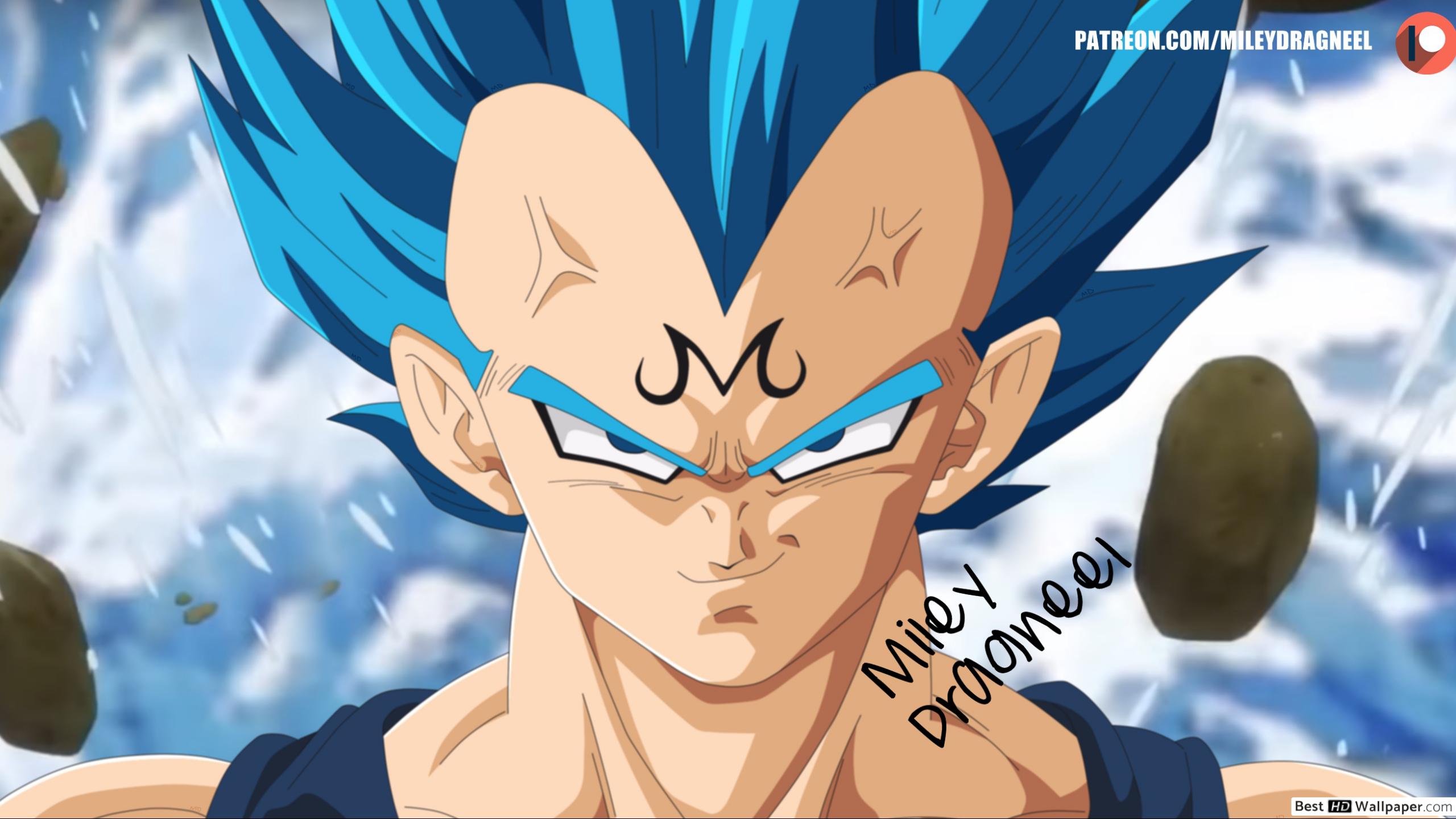 Majin Vegeta - HD Wallpaper 
