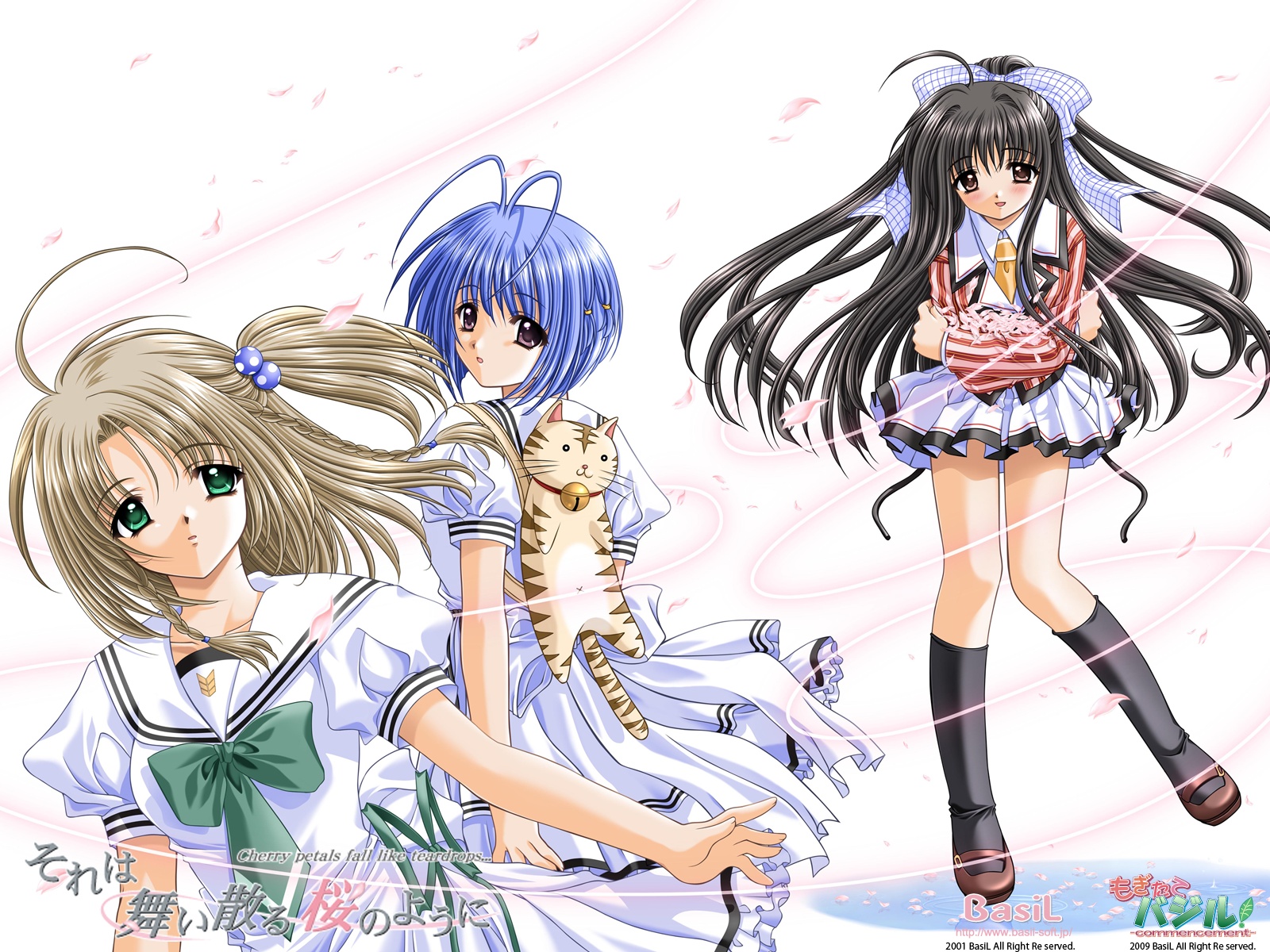 Hoshizaki Nozomi Nishimata Aoi Satomi Kodama Sore Wa - Sore Wa Maichiru Sakura No Youni - HD Wallpaper 