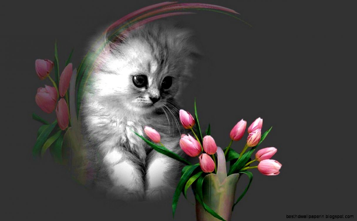 Very Hd Wallpapers - Beautiful Cute Hd Wallpaper For Mobile - 1216x752 Wallpaper Very Hd Wallpapers - Beautiful Cute Hd Wallpaper For Mobile - 1216x752 Wallpaper