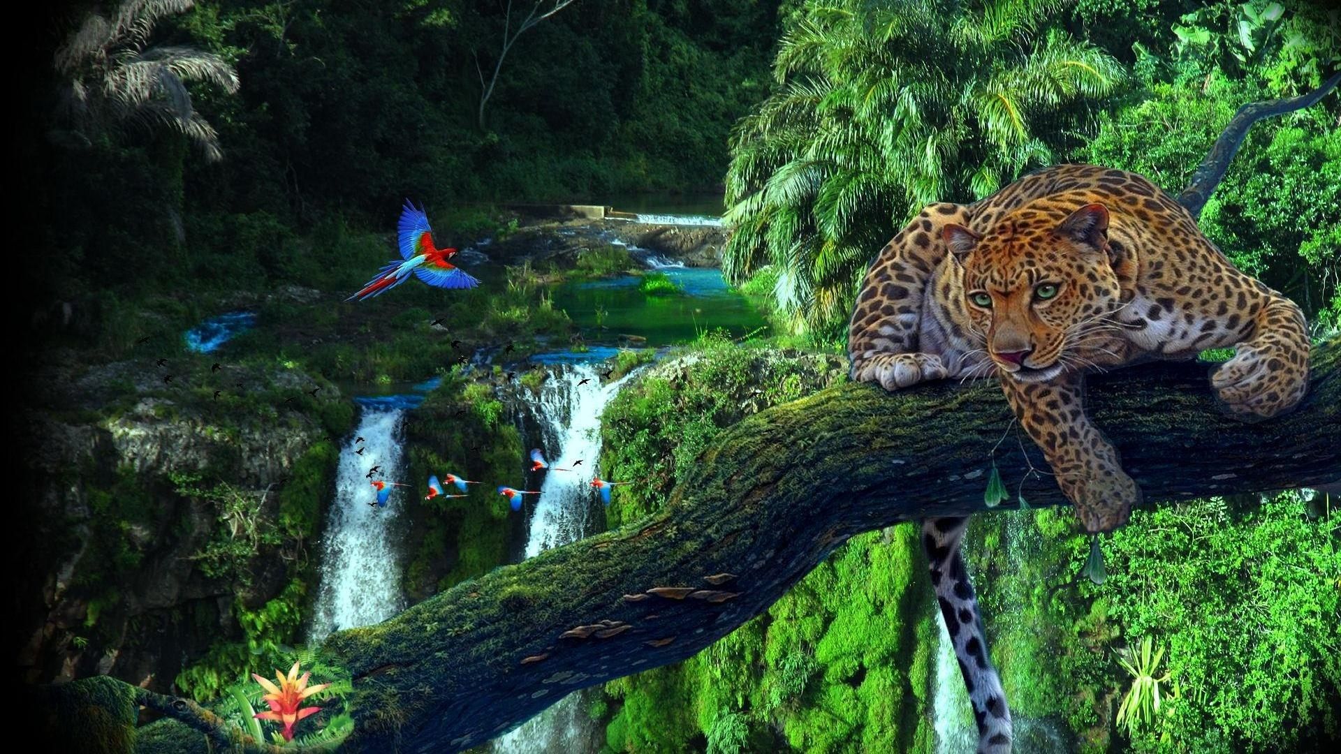Amazon Rainforest Hd - HD Wallpaper 